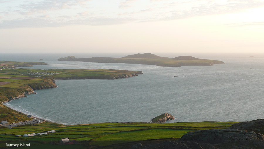 Whitesands